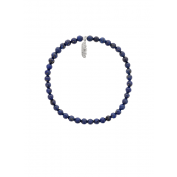 PULSEIRA EUGÉNIO CAMPOS