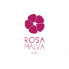 Rosa Malva